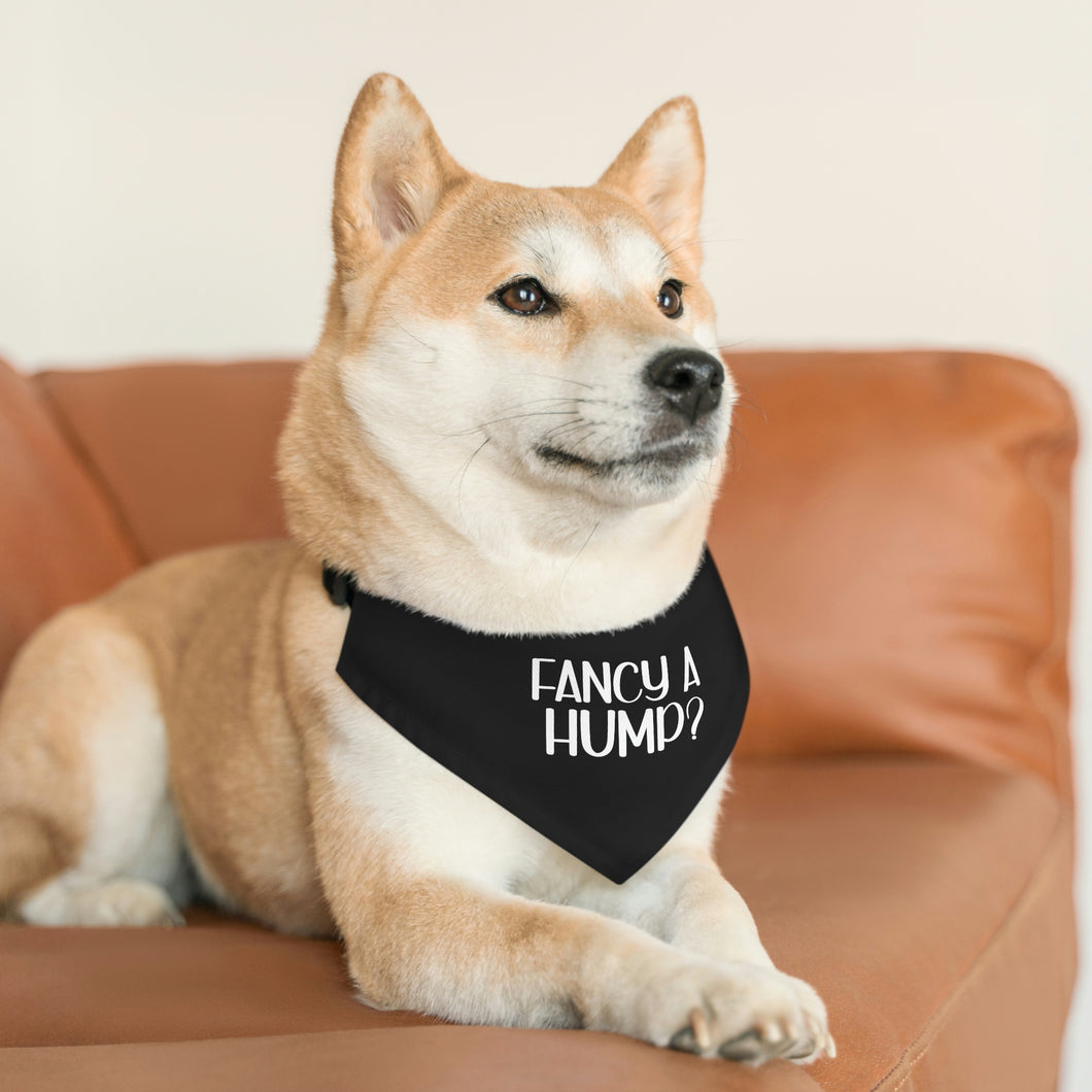 Pet Bandana Collar, Fancy A Hump Bandana, Pet Gift, Gift for Dog Mom, Gift for Pet Lover