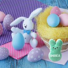 Load image into Gallery viewer, Personalized Plush Peep Bunny
